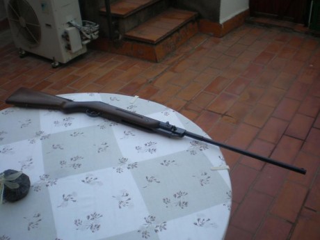 Hola buenas pues eso que vendo esta estupenda carabina y otras, para financiarme un proyecto, la carabina 00