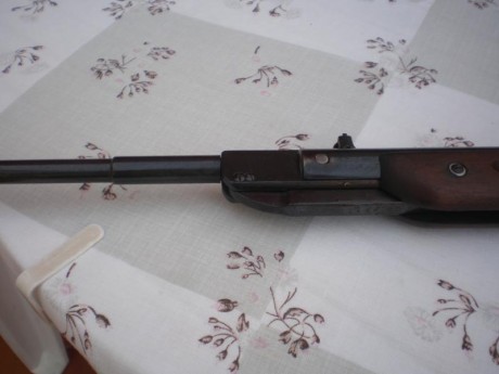 Hola buenas pues eso que vendo esta estupenda carabina y otras, para financiarme un proyecto, la carabina 12