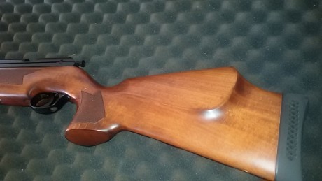 Vendo Hornet  monotiro 5,5 con manómetro casi a estrenar solo  tiene unos 100 disparos  de pruebas  ultra 01