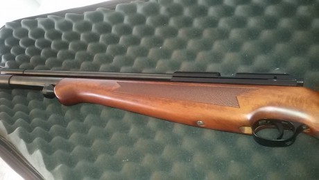 Vendo Hornet  monotiro 5,5 con manómetro casi a estrenar solo  tiene unos 100 disparos  de pruebas  ultra 00