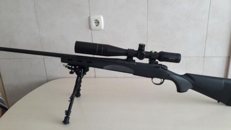 Hola estoy dudando en comprarme un bergara b14 sporter varmint o un remington 700 sps en calibre 308 para 70