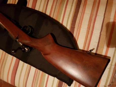 Pongo a la venta mi carabina CZ 452 Still ( la mas alta de la gama 452 ) por no usar
Ya que desde Málaga 00