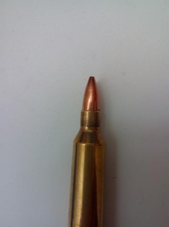 hola 
he estado recargando unos cuantos cartuchos en calibre 22-250.
resulta que al introducir la punta 00