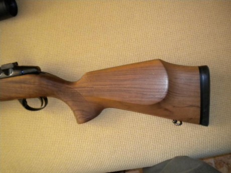 hola un amigo vende un rifle carl gustaf 2000 caja larga calibre 30 06 monturas apel y visor zeiss conquest 01
