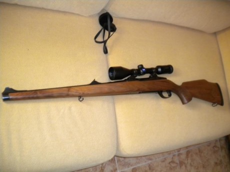 hola un amigo vende un rifle carl gustaf 2000 caja larga calibre 30 06 monturas apel y visor zeiss conquest 12
