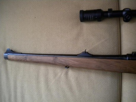 hola un amigo vende un rifle carl gustaf 2000 caja larga calibre 30 06 monturas apel y visor zeiss conquest 11