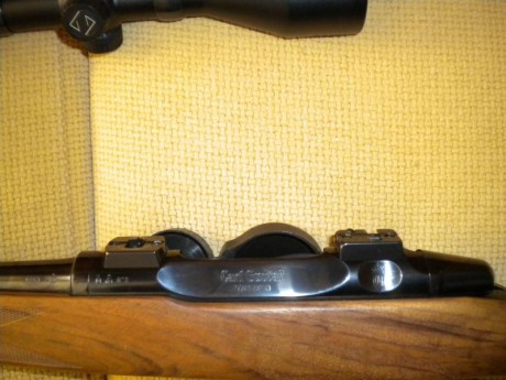 hola un amigo vende un rifle carl gustaf 2000 caja larga calibre 30 06 monturas apel y visor zeiss conquest 10