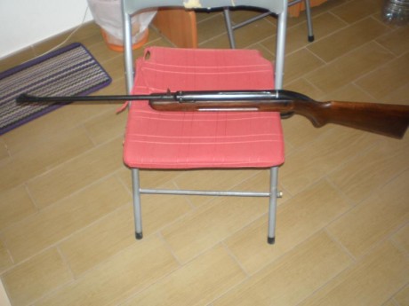 Pues eso que me voy deshaciendo de carabinas de colección, para mi proyecto, esta vez le toca a la BSA 02