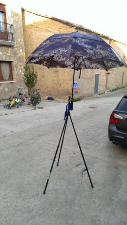 Hola a todos.
a ver si me podéis ayudar: estoy buscando un trípode bueno, bonito y...a ser posible, no 120