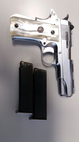 IMG-20170529-WA0019.jpg 
Hola a todos,queria saber que modelo es este arma y que opiniones os merece, 60