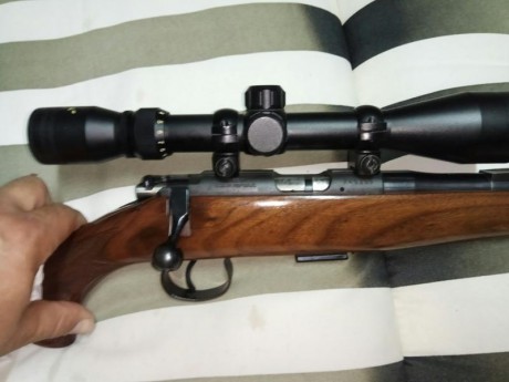 Esta en buen estado general,  lo único que le falta el punto de mira,como siempre he tirado con visor 02