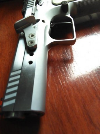 Vendo pistola Tanfoglio Stock, funcionando perfectamente, por 550€. También:
DPM Tanfoglio Stock, limited..por 80