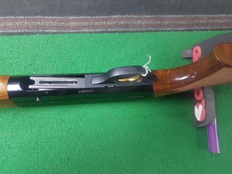SE VENDE ESCOPETA BENELLI MANCINO DE ZURDO,IMPRESIONANTE,A TIRADO 3 TIROS,ES DE UN AMIGO ,QUE NO CAZA.

700€ 00