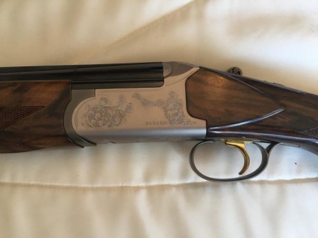 Escopeta Superpuesta de amplias prestaciones, Pistolet Principe de Gales. Versión paradox Disponible  00