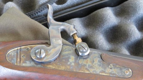 Vendo pistola CHARLES MOORE de PEDERSOLI CAL.45 en perfecto estado, incluyo un equipo completo para el 10