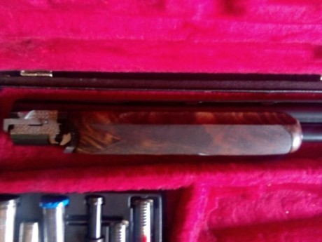 Vendo escopeta beretta sporting S686 , caño de 75 , 5 chokes , banda ancha , culata recta , cartuchos 20