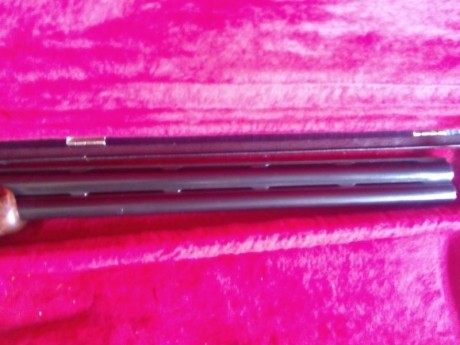 Vendo escopeta beretta sporting S686 , caño de 75 , 5 chokes , banda ancha , culata recta , cartuchos 31