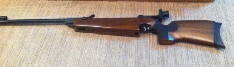 Tengo a la venta un HW55 Champ. Se considera una de las mejores armas para disparar a 10 metros.

Está 02