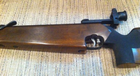 Tengo a la venta un HW55 Champ. Se considera una de las mejores armas para disparar a 10 metros.

Está 01