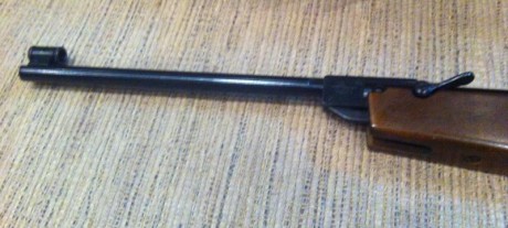 Tengo a la venta un HW55 Champ. Se considera una de las mejores armas para disparar a 10 metros.

Está 00