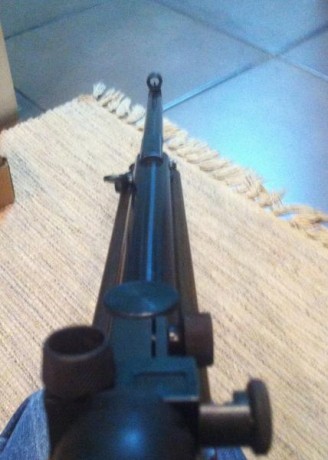 Tengo a la venta un HW55 Champ. Se considera una de las mejores armas para disparar a 10 metros.

Está 11