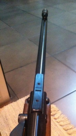 Tengo a la venta un HW55 Champ. Se considera una de las mejores armas para disparar a 10 metros.

Está 10