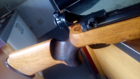 Hola , pongo a la venta un ejemplar de mi colección personal de Walther lgv spz primera generación , se 12