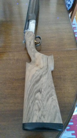 Buenas tardes a todos :

Resulta que me han hecho una culata nueva a mi escopeta de sporting y en la ultima 10