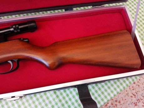 Hola a todos. 

Necesito un poco de ayuda para identificar esta carabina del 22lr y saber que valor aproximado 10