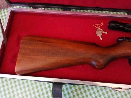 Hola a todos. 

Necesito un poco de ayuda para identificar esta carabina del 22lr y saber que valor aproximado 32