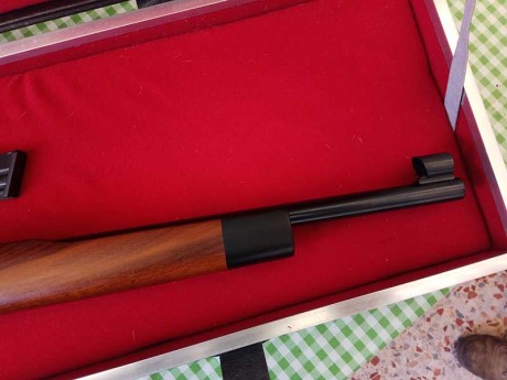 Hola a todos. 

Necesito un poco de ayuda para identificar esta carabina del 22lr y saber que valor aproximado 42