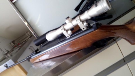 Vendo esta Diana 350 mágnum en cal. 4.5/177 pavonado perfecto y full power. 
 Precio 300€ incluye funda 71