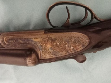 Cambiaría por rifle semiautomático, aportando diferencia. Escopeta paralela Aya, posiblemente modelo 116? 00