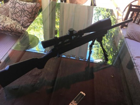 VENDIDA. Carabina SAKO Quad 22Lr. 02