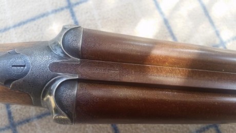Vendo escopeta Grenner calibre12, expulsora, 70 de cañon, en perfecto estado 1800 euros 01