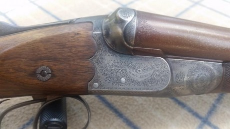 Vendo escopeta Grenner calibre12, expulsora, 70 de cañon, en perfecto estado 1800 euros 00