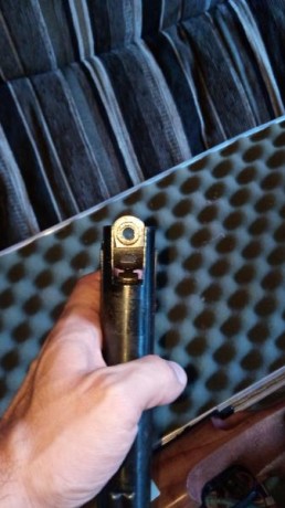 Hola vendo sin uso pistola de perdigones del 5,5 me la trajeron de Turquía solo tire 3balines. Muy potente
80€ 10