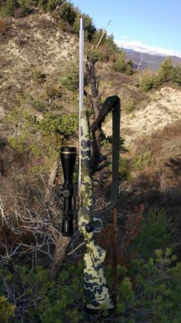 Hola buenas , tengo un dilema .Poseo un rifle de cerrojo en calibre 9,3*62, lo uso para esperas y batida 00