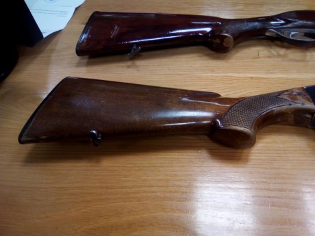 Se venden dos escopetas por dejar de cazar
Repetidora Benelli Cal. 12
Superpuesta Corzo Cal.12
Con fundas 01