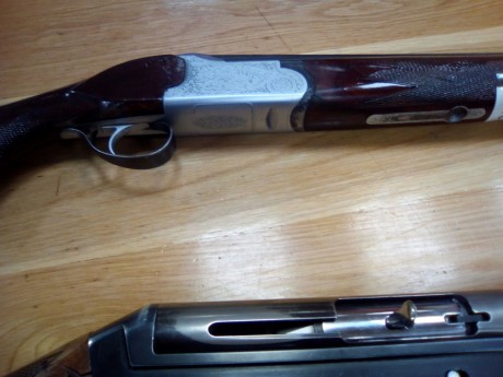 Se venden dos escopetas por dejar de cazar
Repetidora Benelli Cal. 12
Superpuesta Corzo Cal.12
Con fundas 00