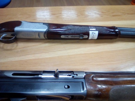 Se venden dos escopetas por dejar de cazar
Repetidora Benelli Cal. 12
Superpuesta Corzo Cal.12
Con fundas 21