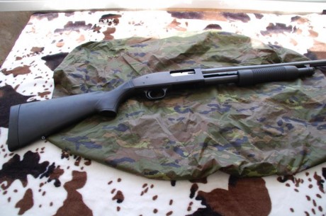 Buenos días, o mejor dicho tardes.
A pesar de manejar armas de fuego en mi vida laboral, soy bastante 02