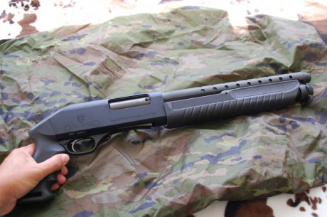 Buenos días, o mejor dicho tardes.
A pesar de manejar armas de fuego en mi vida laboral, soy bastante 00