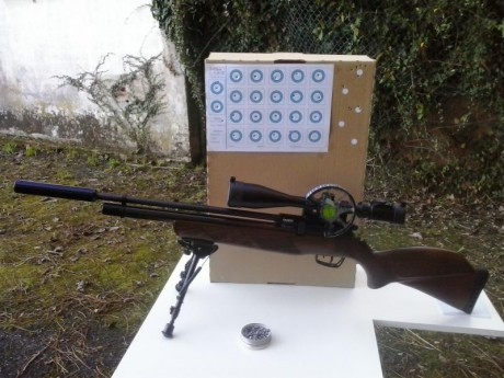 Hola, quiero comprar otra carabina y por eso vendo esta Coyote, la carabina tiene poco uso, esta impecable 01