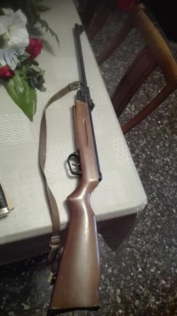 Un amigo me ha pedido que le ponga a la venta esta carabina.
Marca El Gamo
Modelo David
Calibre 4,5 ( 00