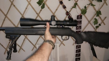 Con todo el dolor de mi corazón vendo mi preciado pequeño arsenal por varias razones... Entre ellas el 01