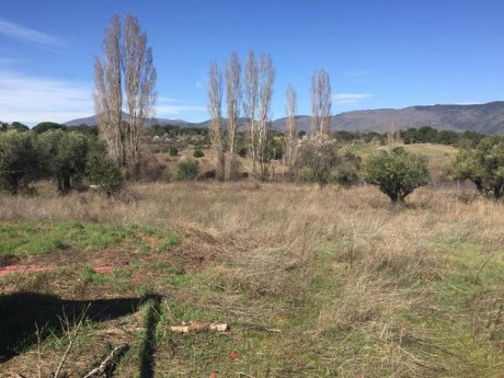  vendo-finca-rustica-con-5500-metros-vivienda-mobil-home-de-tres-480449.jpg vendo finca rustica con 5500 00