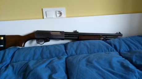 Que tal, vendo escopeta de corredera franchi con alza y punto de mira , prolongador , 7 disparos un clásico, 01