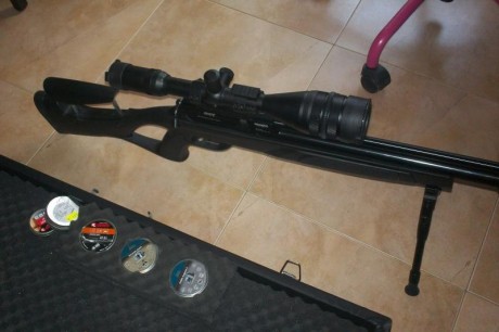 vendo carabina gamo coyote cal 5.5 tiene 8 meses por lo tanto esta en garantia su estado es como sacada 11