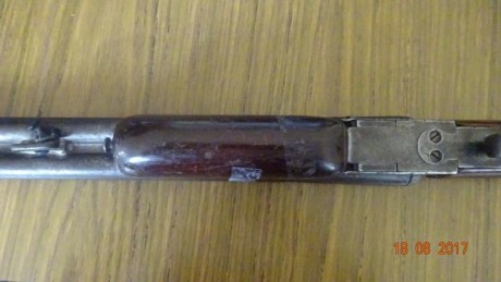 Podrían ayudarme con la identificación de esta escopeta,  no se alcanza a ver ningún marcaje del fabricante; 12